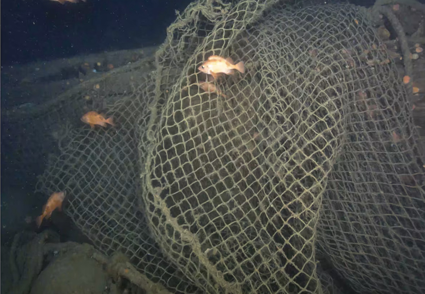 nets over sunken ship