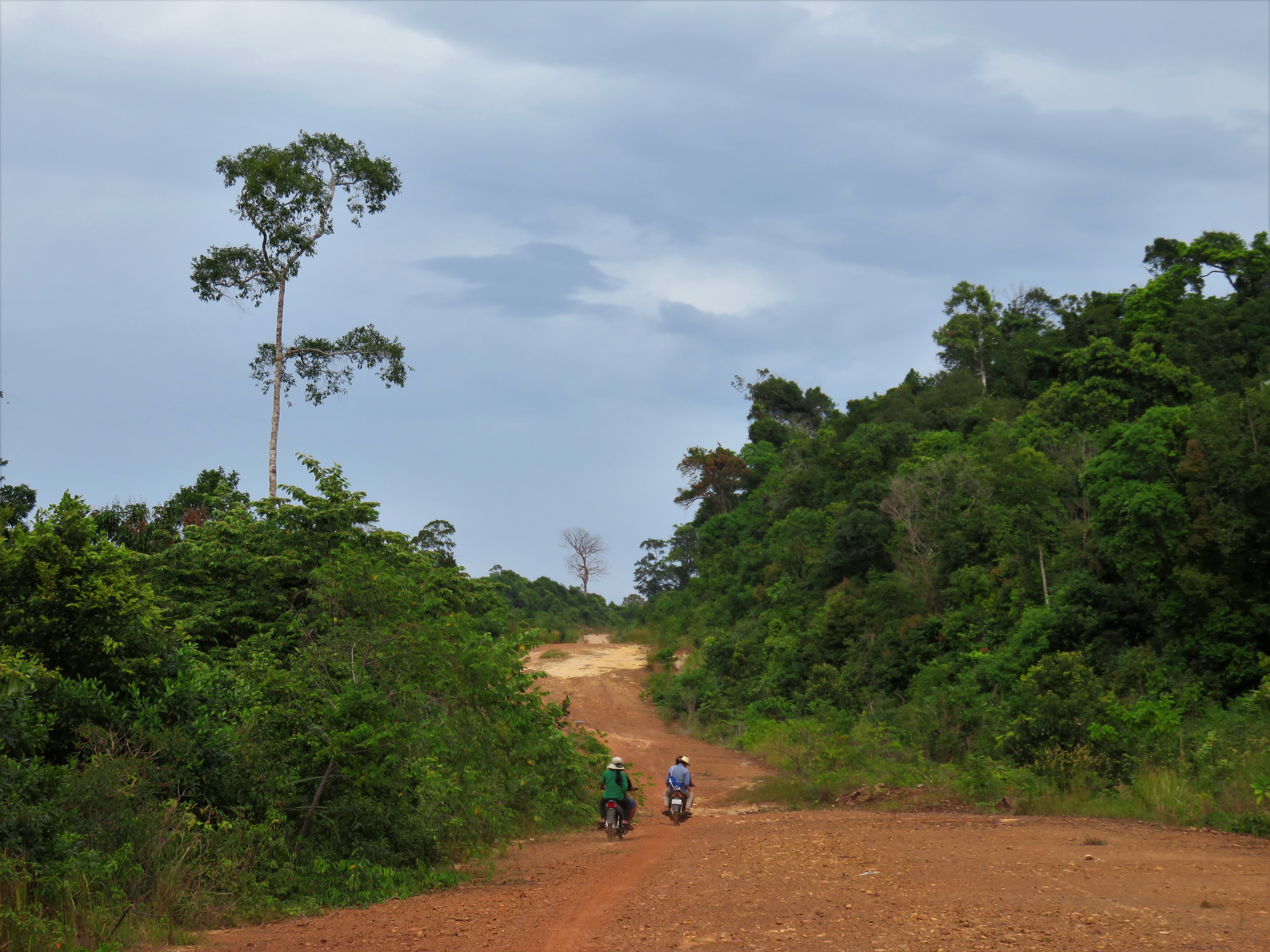 The road back to the village on Koh Rong, Cambodia.